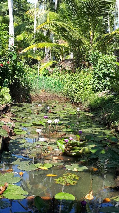 Sylvan Homestay Bentota
